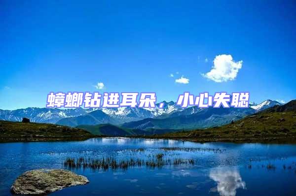 蟑螂鉆進耳朵，小心失聰