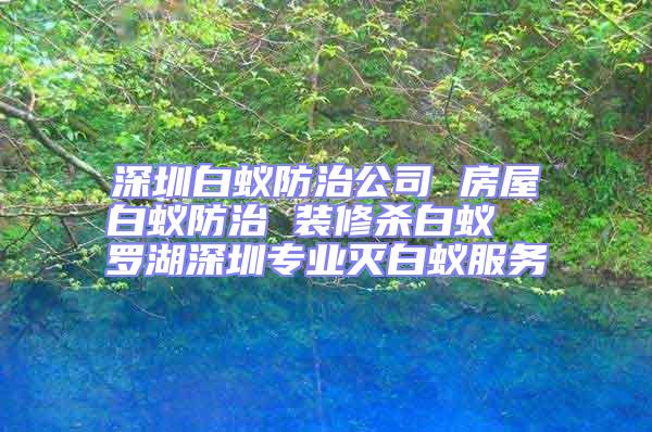 深圳白蟻防治公司 房屋白蟻防治 裝修殺白蟻  羅湖深圳專業滅白蟻服務
