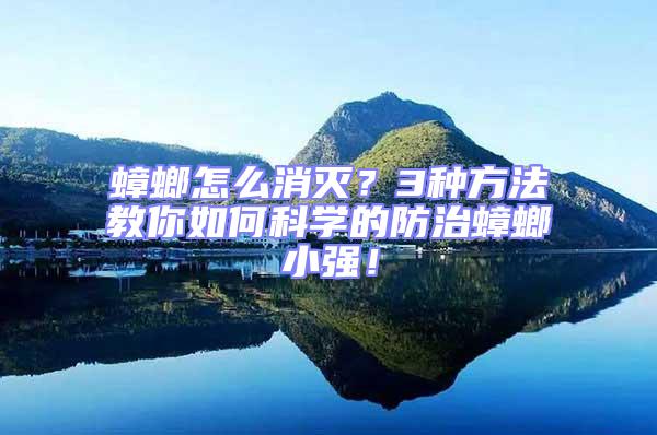 蟑螂怎么消滅?3種方法教你如何科學的防治蟑螂小強!