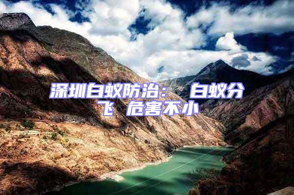 深圳白蟻防治: 白蟻分飛 危害不小