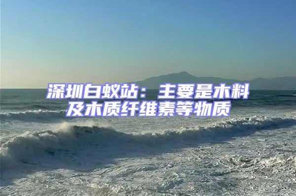 深圳白蟻站:主要是木料及木質纖維素等物質