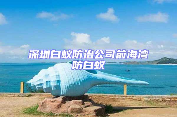 深圳白蟻防治公司前海灣防白蟻