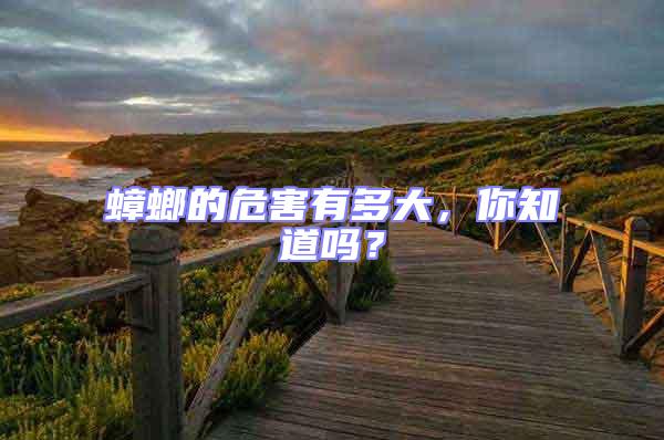 蟑螂的危害有多大,你知道嗎?