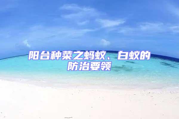 陽臺種菜之螞蟻、白蟻的防治要領