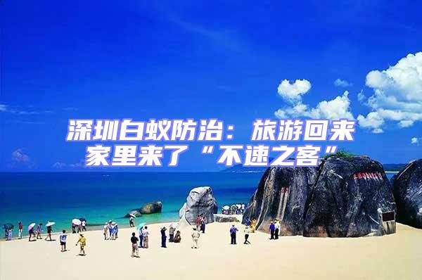 深圳白蟻防治:旅游回來(lái)家里來(lái)了“不速之客”