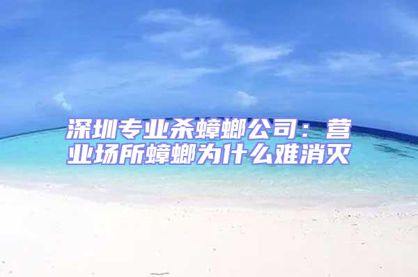 深圳專業殺蟑螂公司:營業場所蟑螂為什么難消滅