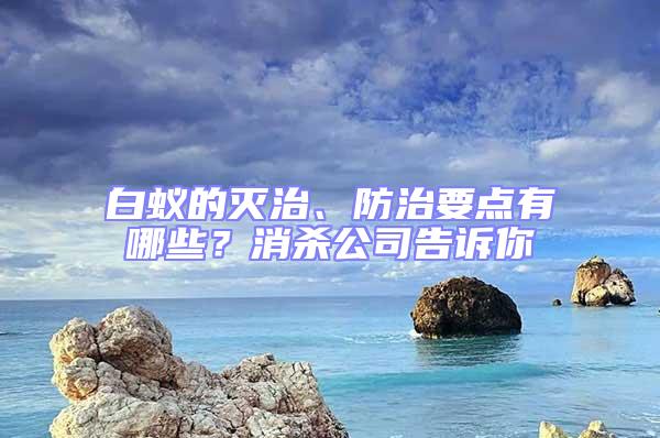白蟻的滅治、防治要點(diǎn)有哪些?消殺公司告訴你