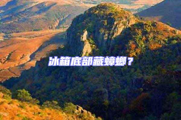 冰箱底部藏蟑螂?