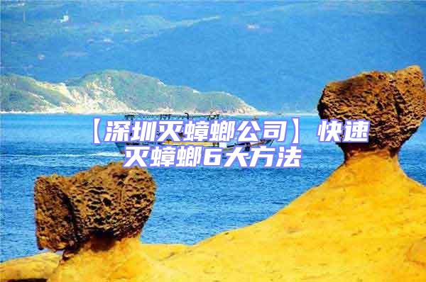 【深圳滅蟑螂公司】快速滅蟑螂6大方法