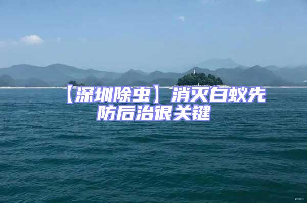 【深圳除蟲】消滅白蟻先防后治很關鍵