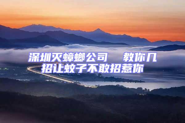 深圳滅蟑螂公司 教你幾招讓蚊子不敢招惹你