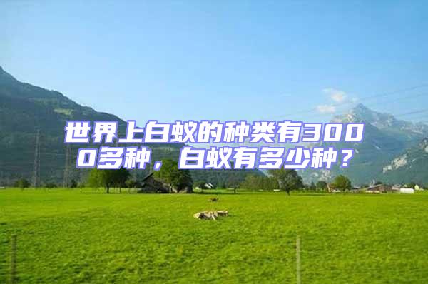 世界上白蟻的種類有3000多種,白蟻有多少種?