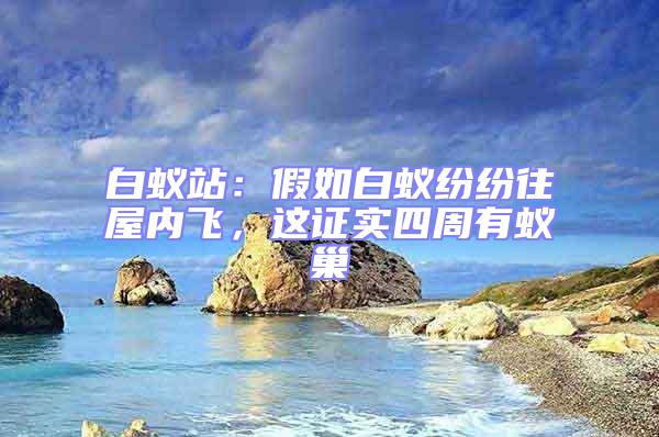 白蟻站：假如白蟻紛紛往屋內飛，這證實四周有蟻巢