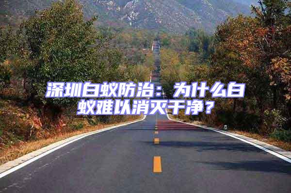 深圳白蟻防治：為什么白蟻難以消滅干凈？