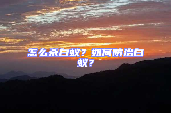 怎么殺白蟻？如何防治白蟻？