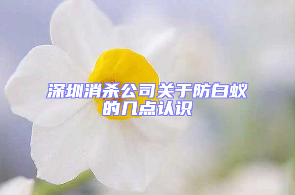 深圳消殺公司關于防白蟻的幾點認識