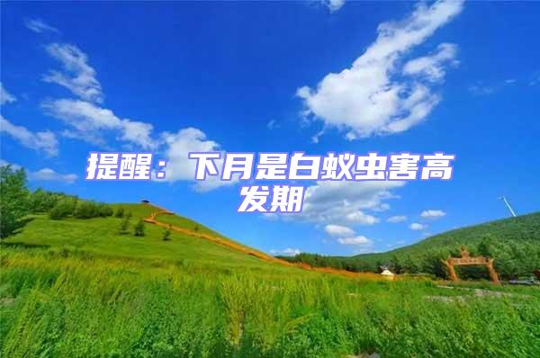 提醒:下月是白蟻蟲害高發(fā)期