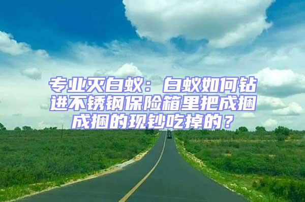 專業(yè)滅白蟻:白蟻如何鉆進不銹鋼保險箱里把成捆成捆的現鈔吃掉的?