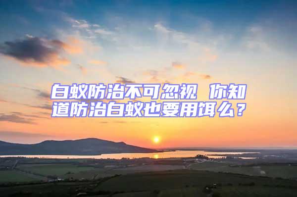 白蟻防治不可忽視 你知道防治白蟻也要用餌么？