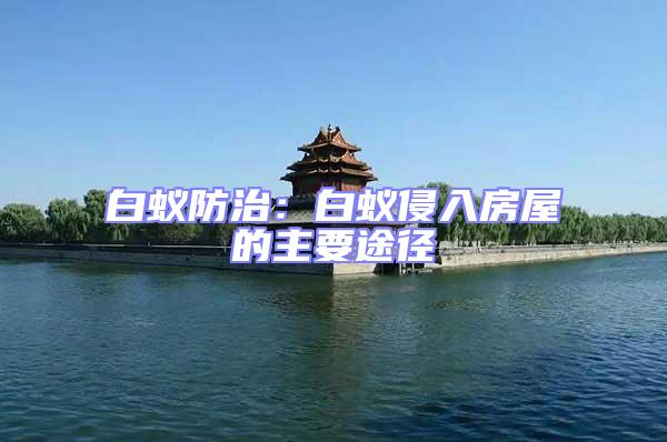 白蟻防治:白蟻侵入房屋的主要途徑