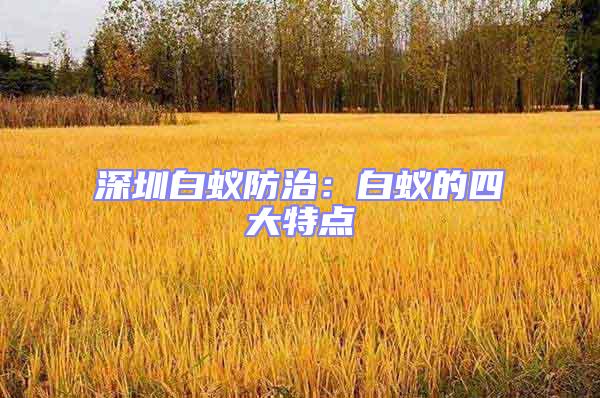 深圳白蟻防治:白蟻的四大特點