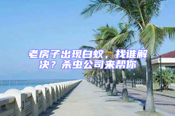 老房子出現白蟻，找誰解決？殺蟲公司來幫你