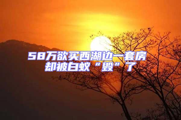 58萬(wàn)欲買西湖邊一套房 卻被白蟻“毀”了
