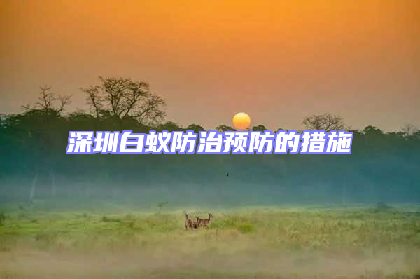 深圳白蟻防治預(yù)防的措施