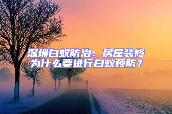 深圳白蟻防治:房屋裝修為什么要進行白蟻預防?
