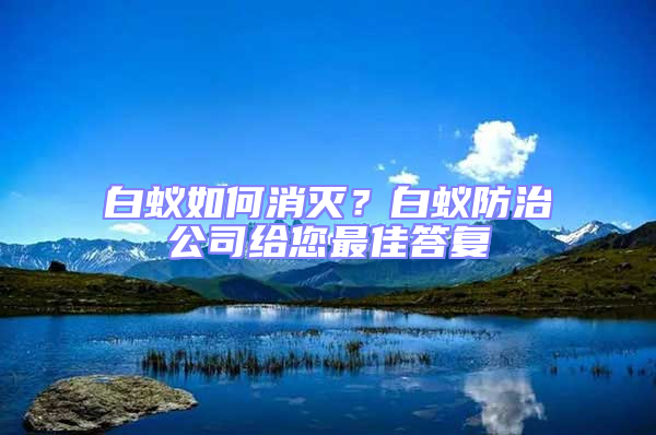 白蟻如何消滅?白蟻防治公司給您最佳答復