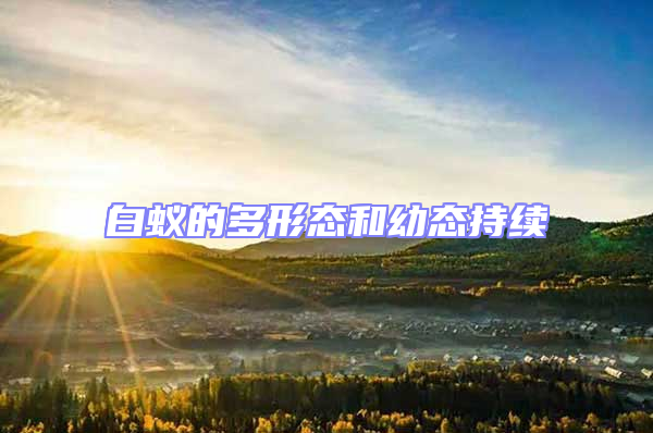 白蟻的多形態和幼態持續