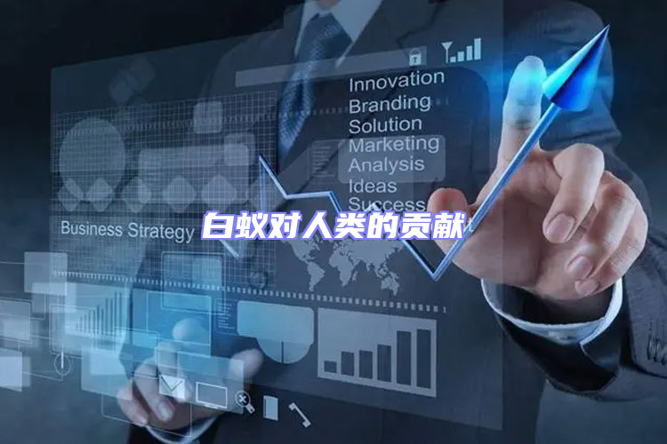 白蟻對人類的貢獻