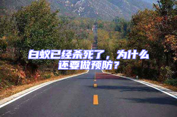 白蟻已經殺死了，為什么還要做預防？