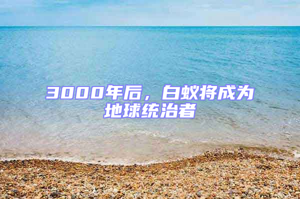 3000年后，白蟻將成為地球統治者