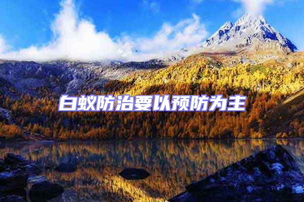 白蟻防治要以預(yù)防為主