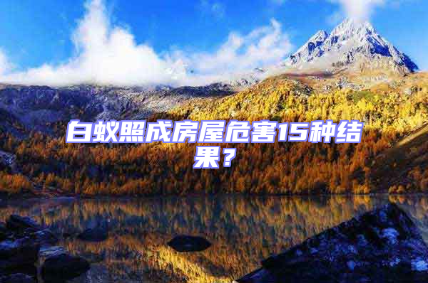 白蟻照成房屋危害15種結(jié)果?