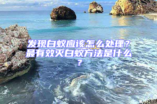 發現白蟻應該怎么處理？最有效滅白蟻方法是什么？