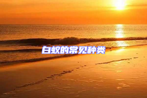 白蟻的常見種類