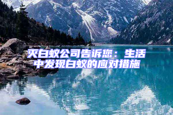滅白蟻公司告訴您:生活中發現白蟻的應對措施