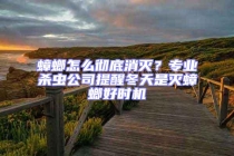 蟑螂怎么徹底消滅？專業(yè)殺蟲公司提醒冬天是滅蟑螂好時機
