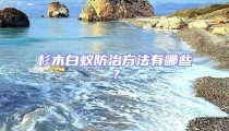 杉木白蟻防治方法有哪些？