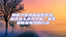 蟑螂入室侵擾居民生活，應該怎么殺滅滅蟑？殺滅蟑螂最有效的方法