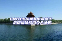 白蟻蛀蝕居民家中木檁子 危房排險部門介入處理