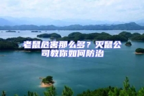 老鼠危害那么多？滅鼠公司教你如何防治