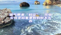 暖氣帶來“蟻災”，滅蟲公司支招家里有螞蟻怎么辦