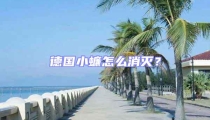 德國小蠊怎么消滅？
