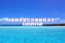 深圳殺蟲公司來解答關于白蟻的問題