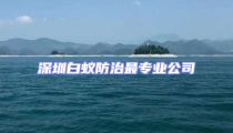 深圳白蟻防治最專業(yè)公司