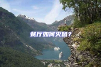 餐廳如何滅鼠？