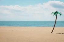 深圳白蟻防治：預防為主、防治結合、綜合治理